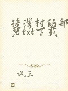 后湾村的那些事儿txt下载