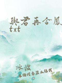 与君再合凤求凰txt