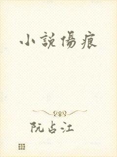 小说伤痕