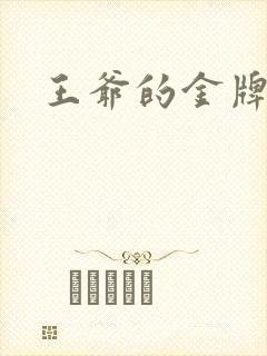 王爷的金牌暗卫