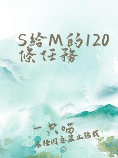 S给M的120条任务