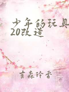 少年的玩具1一20改造