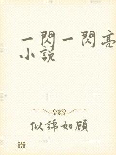 一闪一闪亮星星小说