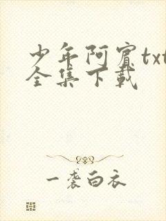 少年阿宾txt全集下载
