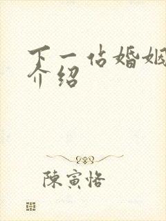 下一站婚姻剧情介绍