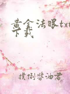 黄金法眼txt下载