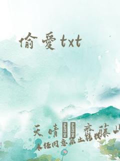 偷爱txt