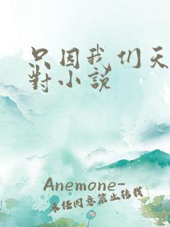 只因我们天生一对小说