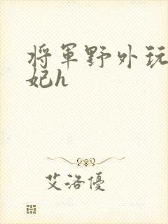 将军野外玩弄贵妃h