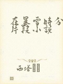 在暴雪时分高能片段小说