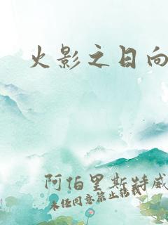 火影之日向传