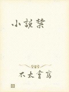 小说禁