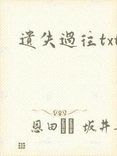 遗失过往txt