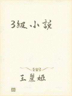 3级小说