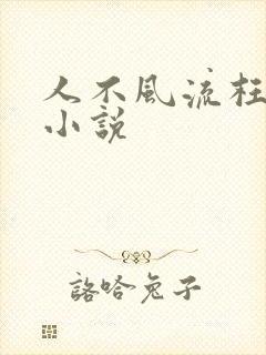 人不风流枉少年小说