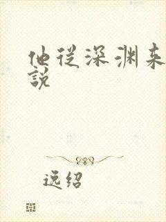 他从深渊来 小说