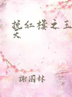 挽红楼之玉舞九天