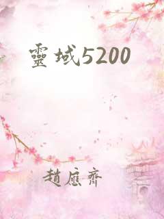 灵域5200