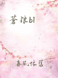 苍狼bl