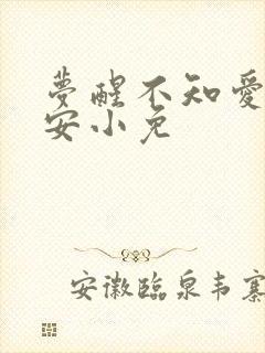 梦醒不知爱欢凉安小免