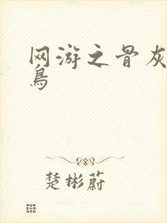 网游之骨灰级菜鸟