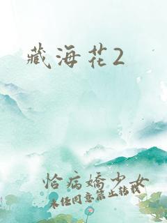 藏海花2