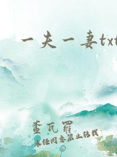 一夫一妻txt