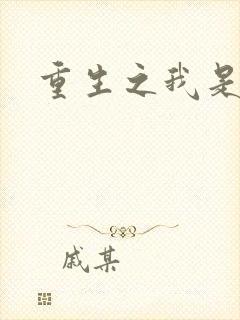 重生之我是杨过