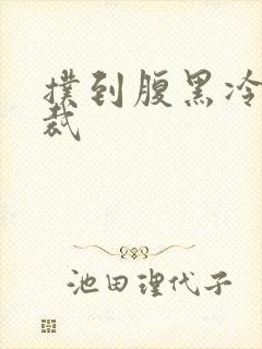 扑到腹黑冷面总裁