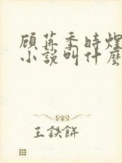 顾苒季时煜电竞小说叫什么名字