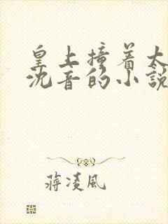 皇上撞着太子妃沈音的小说叫什么