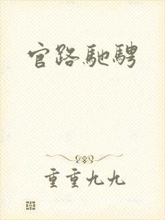 官路驰骋