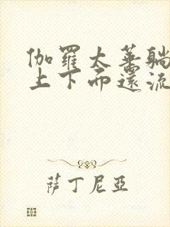 伽罗太华躺在床上下面还流东西