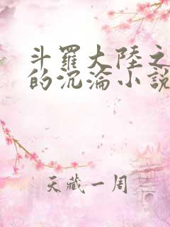 斗罗大陆之众女的沉沦小说