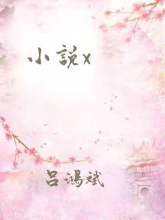 小说x