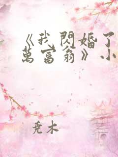 《我闪婚了个亿万富翁》小说