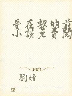 爱在黎明前降落小说免费阅读