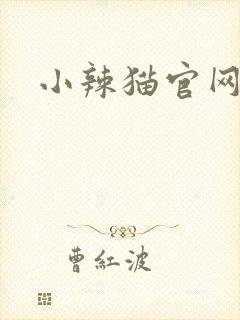 小辣猫官网