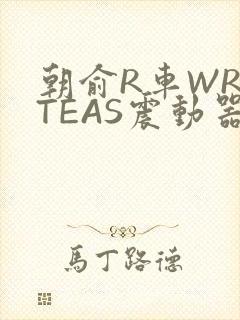 朝俞R车WRITEAS震动器