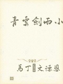 青云剑雨小说