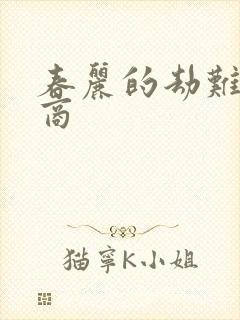 春丽的劫难军火商