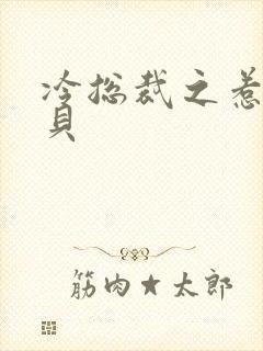 冷总裁之惹火宝贝