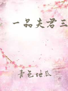 一品夫君三流妻