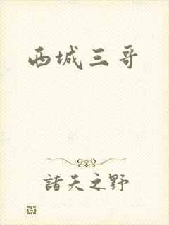 西城三哥