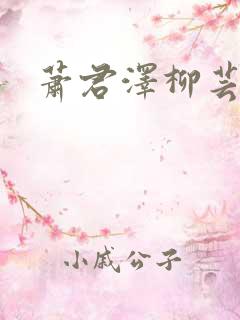 萧君泽柳芸小说