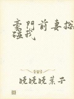 豪门前妻总裁别碰我