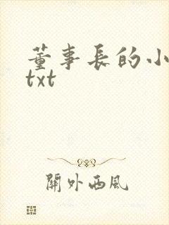 董事长的小王爷txt