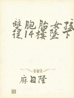 双胞胎女孩双双从14楼坠下