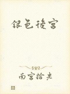 银色后宫