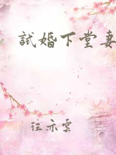 试婚下堂妻